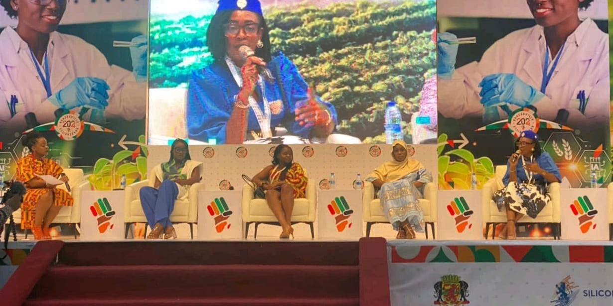 Brazzaville International Leadership Youth Forum 2024 (Bilyf), Brazzaville, République du Congo